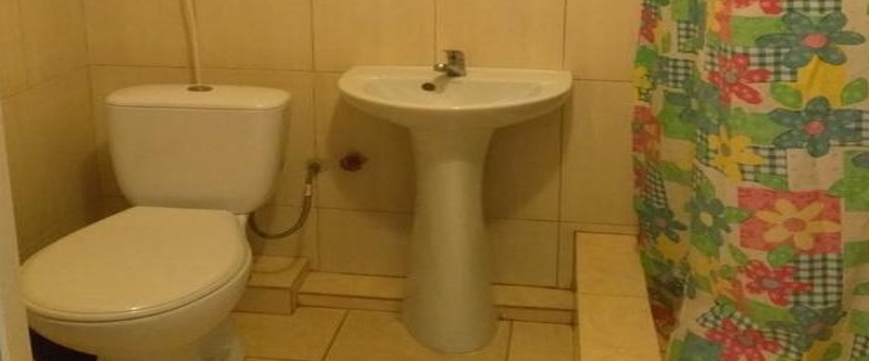 Арлекино - санузел, стандартного номера