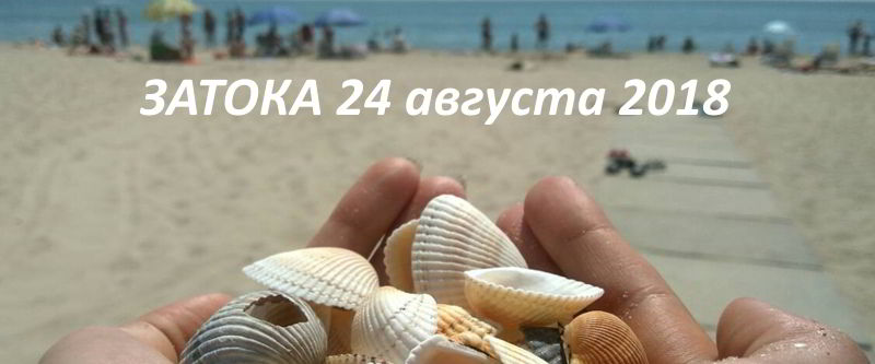 24 августа - в Затоке красивые ракушки